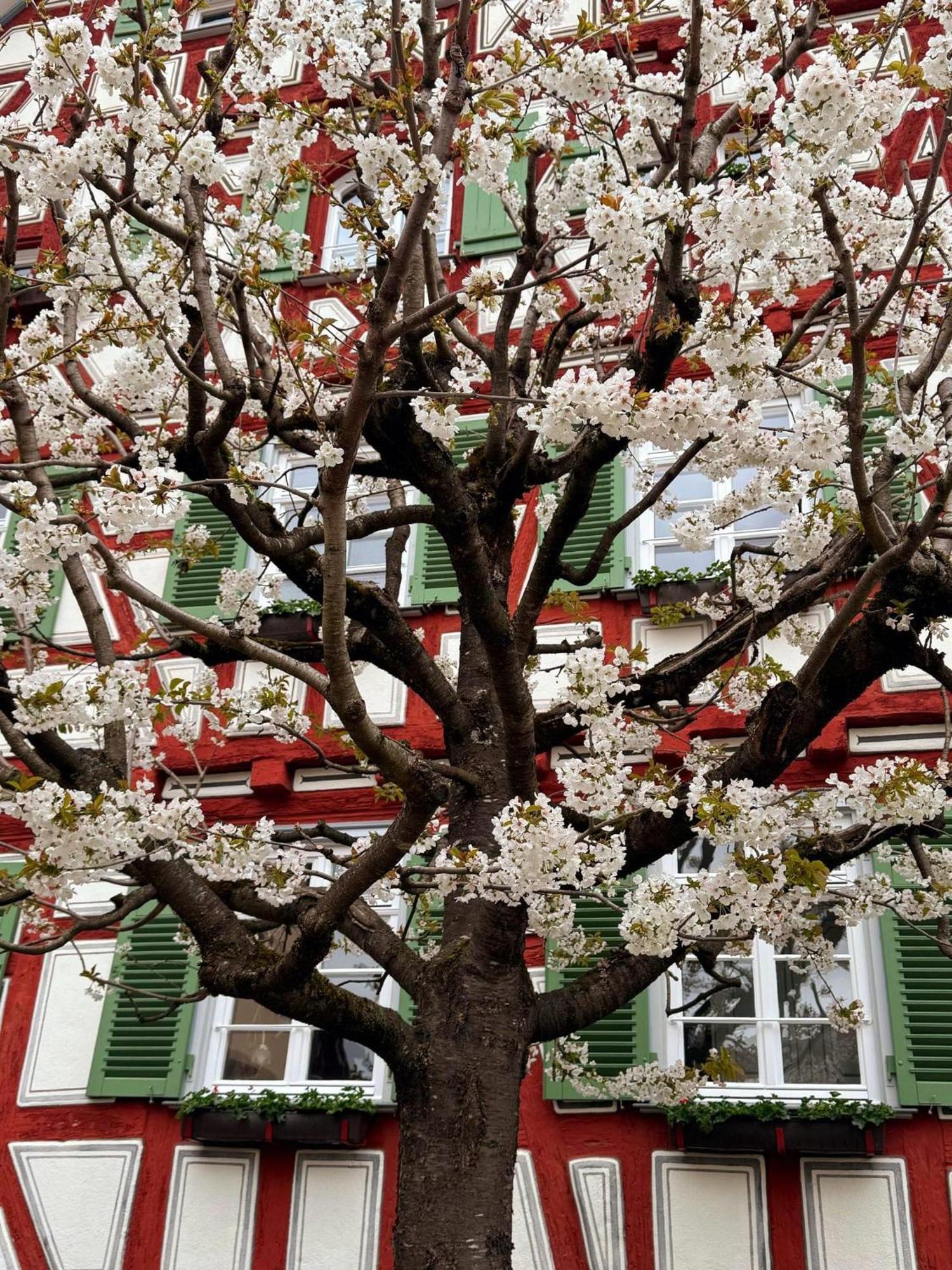 Altes Pfarrhaus Hotel und Restaurant Bad Überkingen Exterior foto